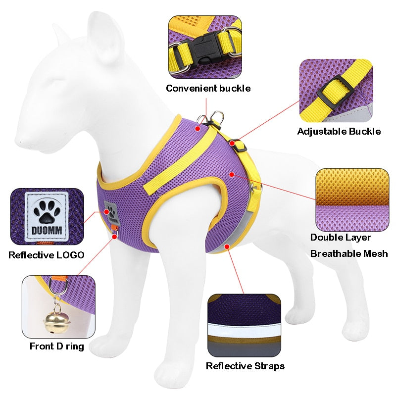 Reflective Safety Pet Dog Harness and Leash Set for Small Medium Dogs